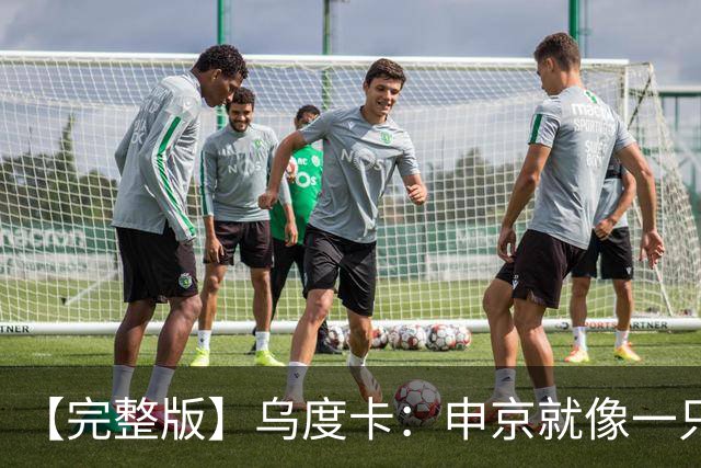 【完整版】乌度卡：申京就像一只斗牛犬 不在乎谁得分只要能赢球