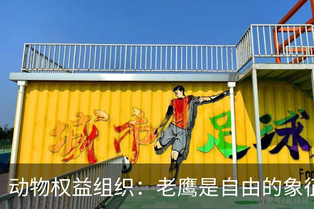 动物权益组织：老鹰是自由的象征，不是水晶宫取悦球迷的道具
