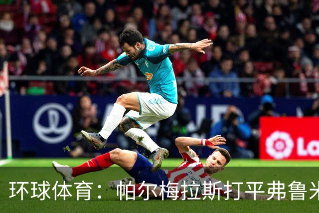环球体育：帕尔梅拉斯打平弗鲁米嫩塞即可重返解放者杯决赛