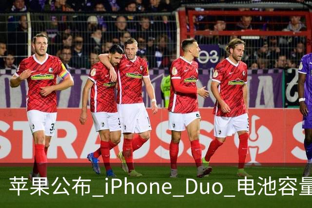 苹果公布 iPhone Duo 电池容量！还有专属功能