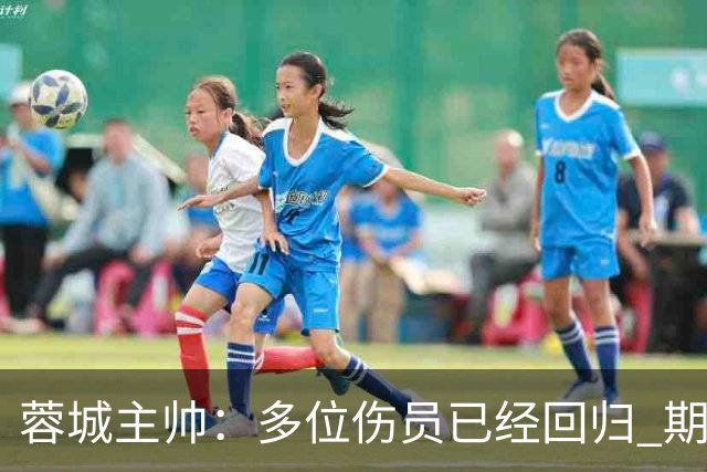 蓉城主帅：多位伤员已经回归 期待主场把这个冠军拿下