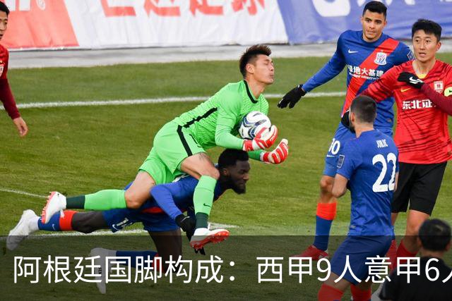 阿根廷国脚构成：西甲9人意甲6人 阿本土仅1人