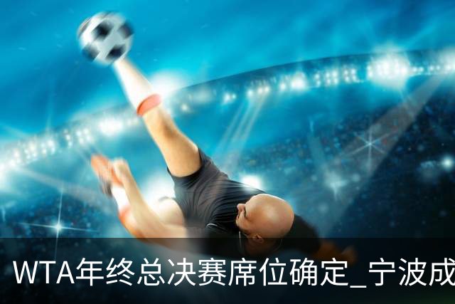 WTA年终总决赛席位确定 宁波成“总决赛售票处”